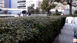 老司机网站百度贴吧㊙️➕韩国av视频在线